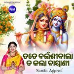 Tate Bainshibala Ta Kala Bayani