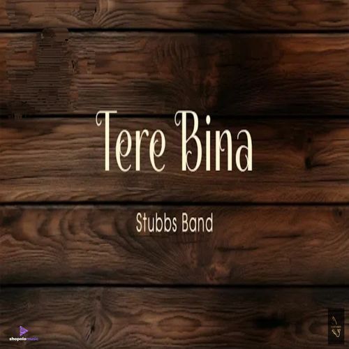Tere Bina
