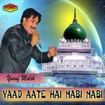 Mujhe Yaad Aate Hain Nabi Nabi