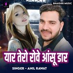 Yar Tero Rowe Anshu Dhar