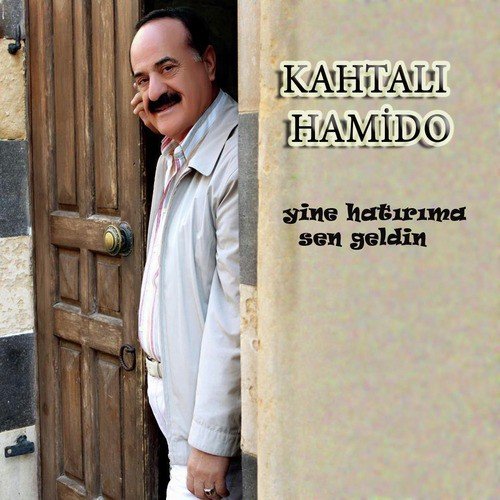 Sevda Denizi cover art