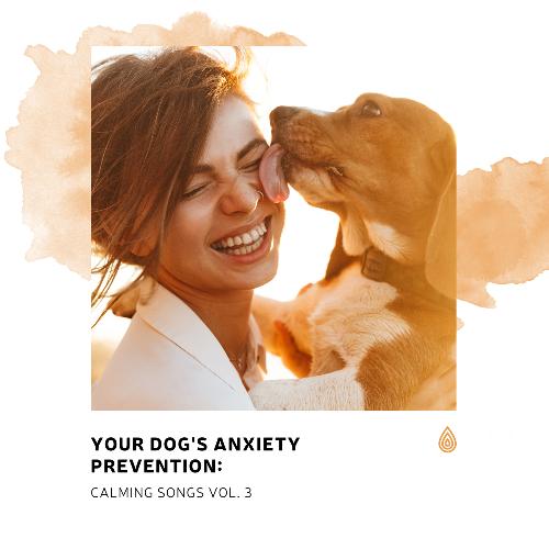 Your Dog's Anxiety Prevention: Calming Songs Vol. 3