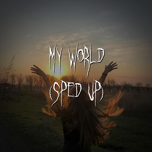 my world (sped up) cover art