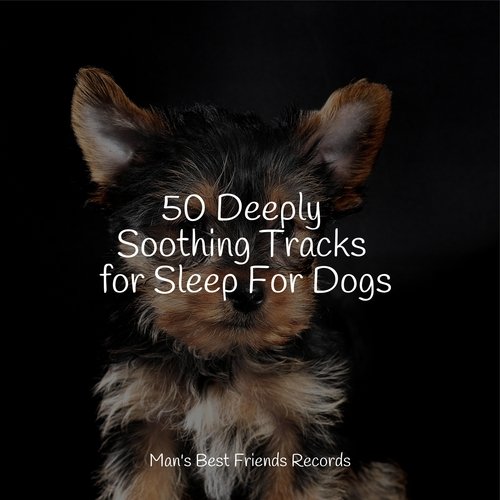50 Deeply Soothing Tracks for Sleep For Dogs
