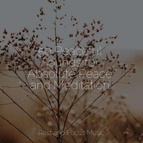 50 Peaceful Sounds for Absolute Peace and Meditation