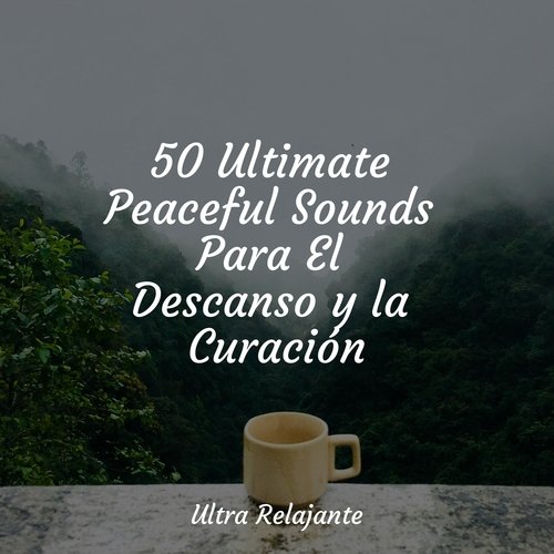 Canción De Cuna Pura