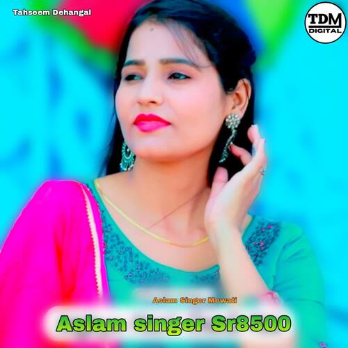 Aslam singer Sr8500