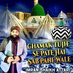 Chamak Tujhe Se Pate Hai Sab Pane Wale