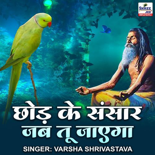 Chhod Ke Sansar Jab Tu Jayega