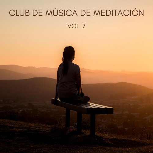 Fases De Meditación cover art