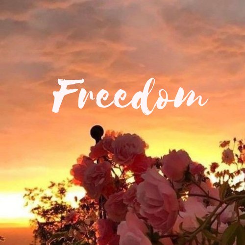 Freedom