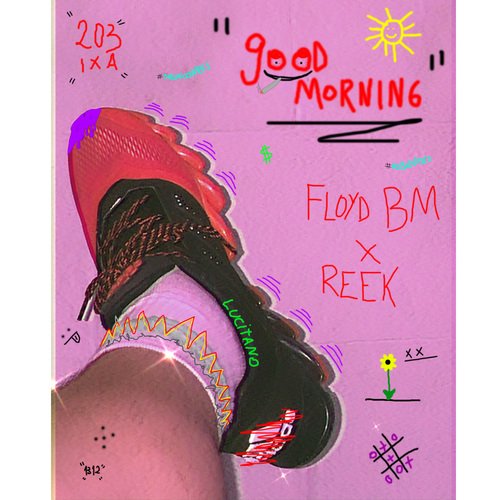 Me Voi cover art