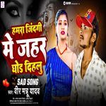 Hamara Zindagi Me Jahar Ghod Dehalu