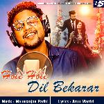 Hole Hole Dil Bekarar