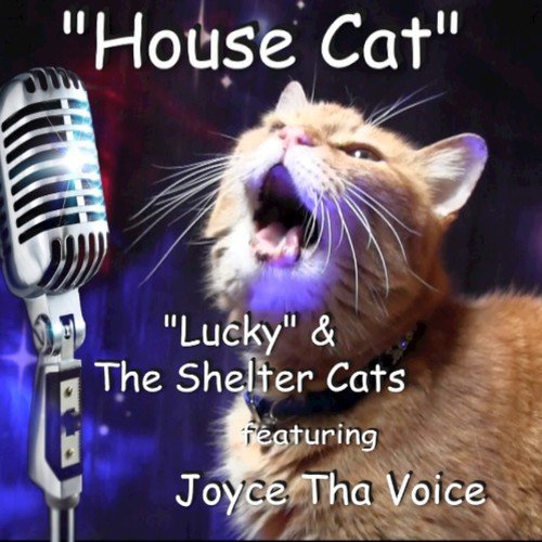 House Cat  (feat. Joyce Tha Voice) - Single