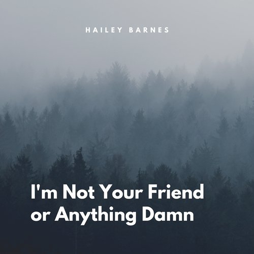 I&#039;m Not Your Friend or Anything Damn_poster_image