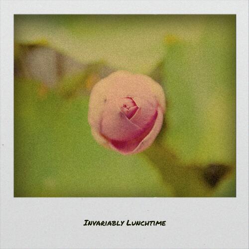 Invariably Lunchtime