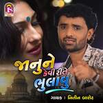 Janu Ne Kevi Rite Bhulavu artwork