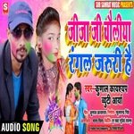 Jija ji choliya rangal jaruri hai