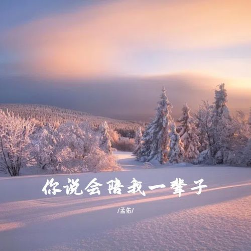 你说会陪我一辈子 cover art