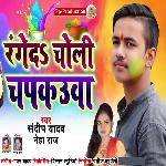 Range Da Choli Chapkauva