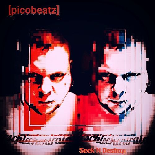 Seek n Destroy cover art