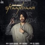 Shaandaar artwork