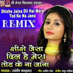 Shishe Jaisa Dil Hai Mera Tod Ke Na Jana (Remix)