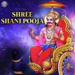 Shree Shani Pooja