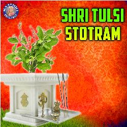 Shri Tulsi Stotram-RjA,Vj5ReFg