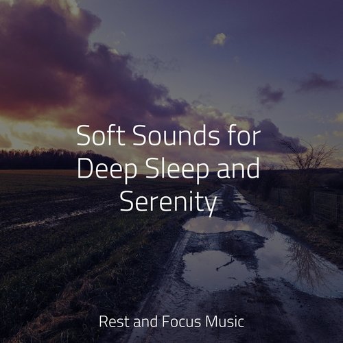 Soft Sounds for Deep Sleep and Serenity_poster_image