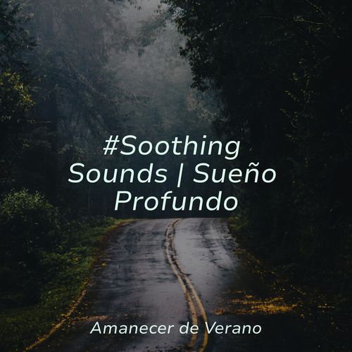 #Soothing Sounds | Sueño Profundo