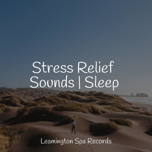 Stress Relief Sounds | Sleep