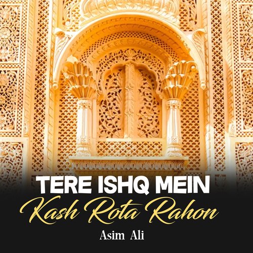 Tere Ishq Mein Kash Rota Rahon