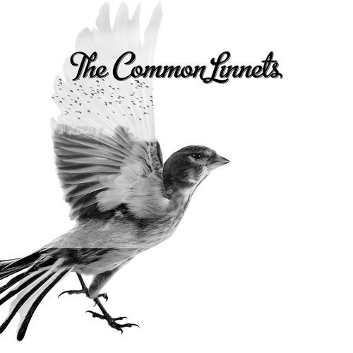 The Common Linnets (Special Edition)_poster_image