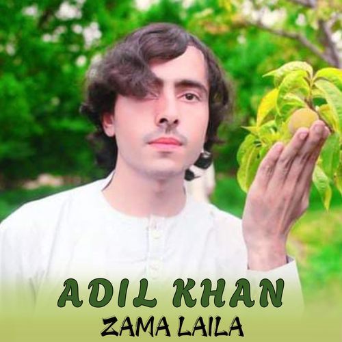 Zama Laila