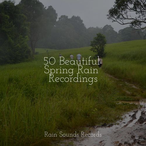 50 Beautiful Spring Rain Recordings