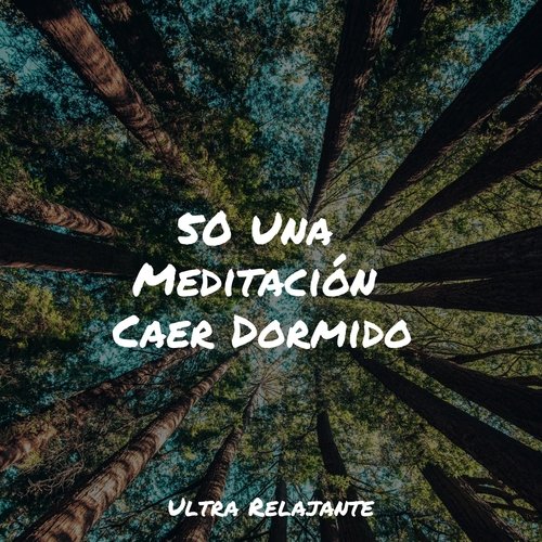 50 Una Meditación Caer Dormido_poster_image