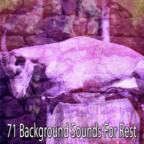 71 Background Sounds For Rest