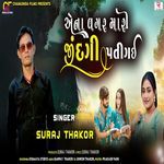 Aena Vagar Mari Jindagi Pati Gai