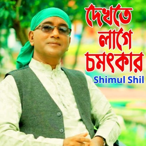 দেখতে লাগে চমৎকার