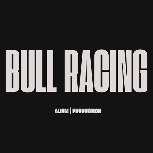 BULL RACING