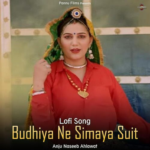 Budiya Ne Sima Liya Suit (lofi remix)