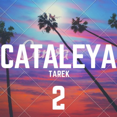 Cataleya 2