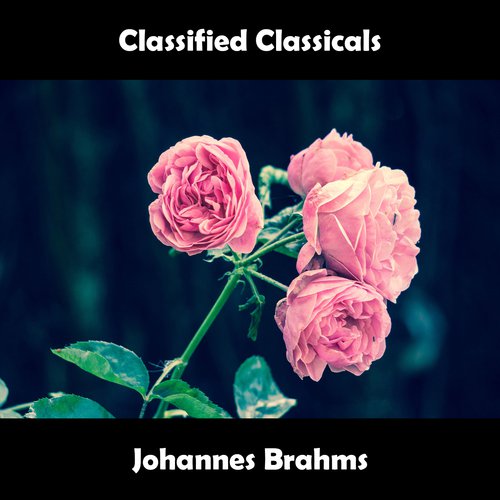Johannes Brahms -  16 Waltzes, Op.39 - No.3 in G#-