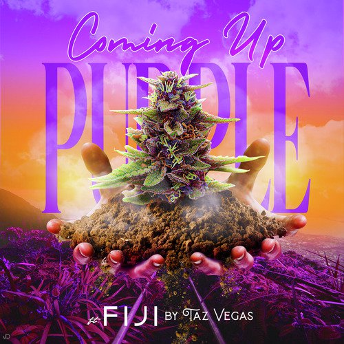 Coming up Purple cover art