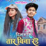 Dil Maru Tar Bina Rade