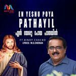 En Yeshu Poya Pathayil