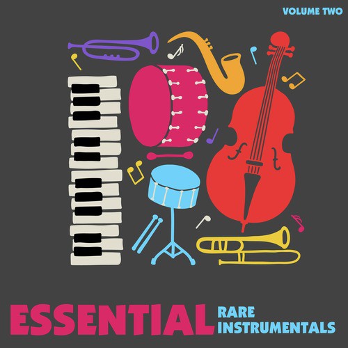Essential Rare Instrumentals, Volume 2