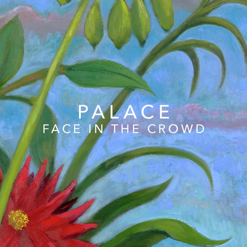 Face In The Crowd